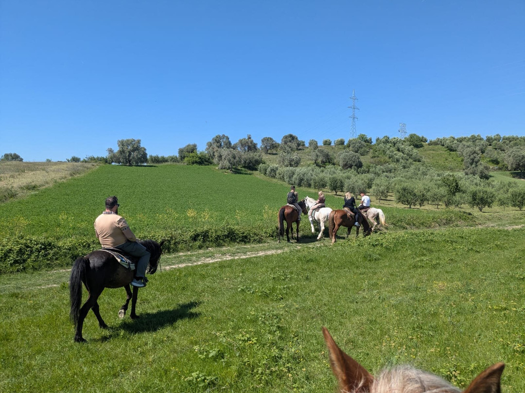 Horse Farm Santo-Elbasan必去景点
