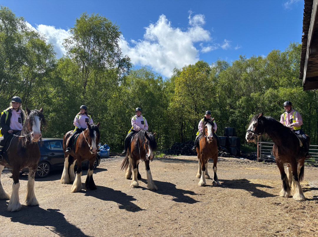 Blackstone Clydesdales Experience-Cumnock必去景点
