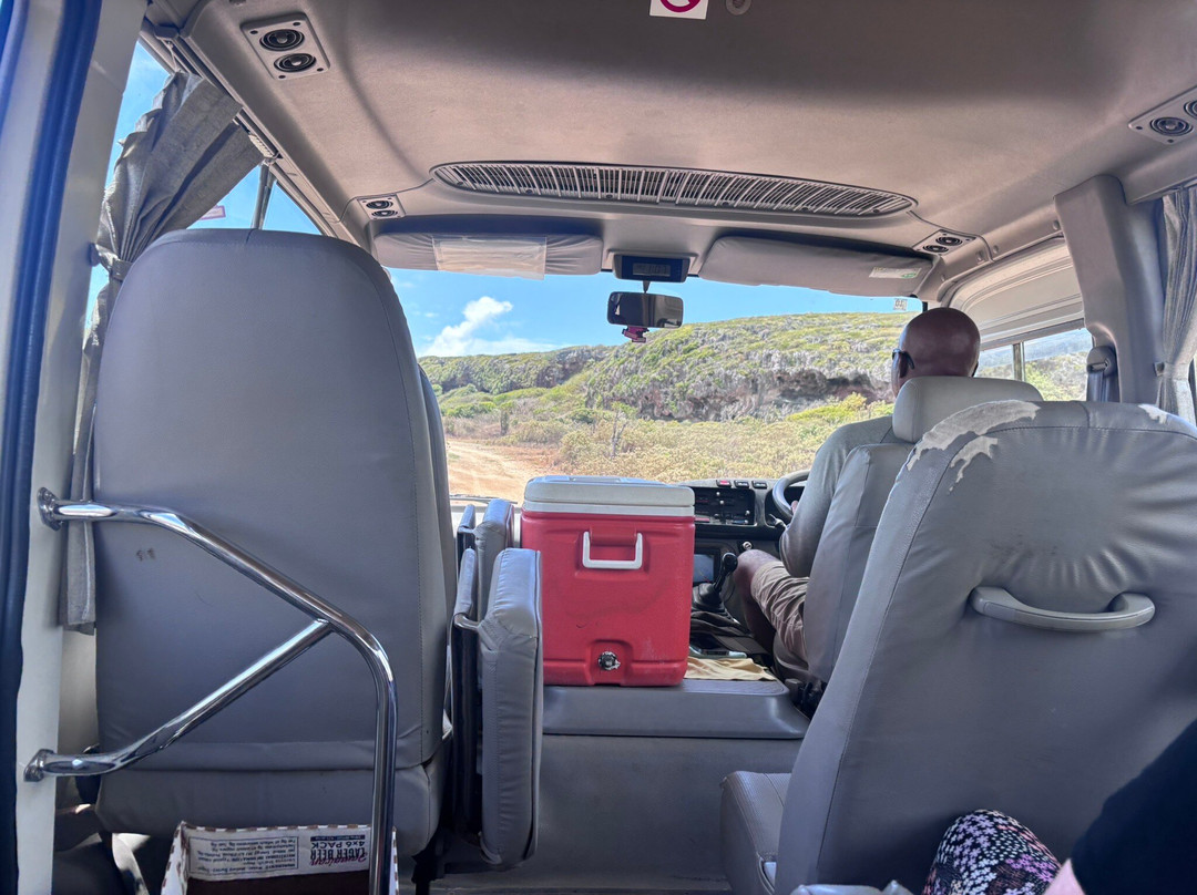 Hillside Tours Barbuda-Codrington必去景点