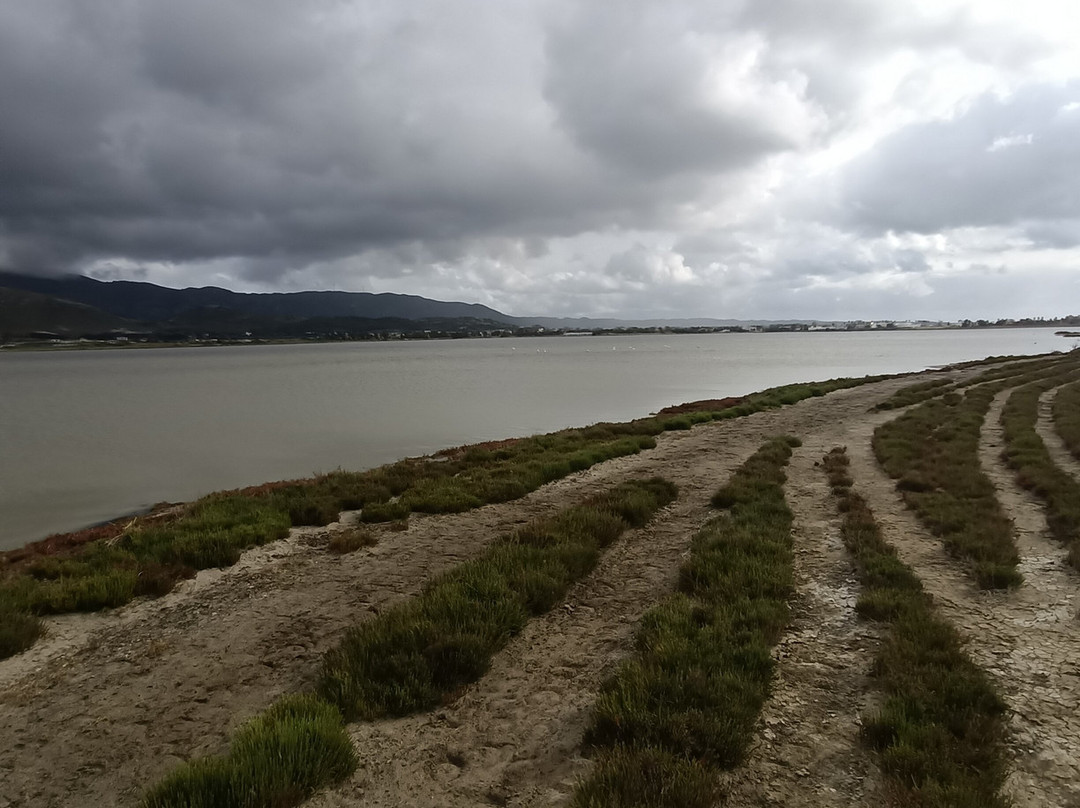 Alikes Salt Lakes Tigaki-Tigaki必去景点