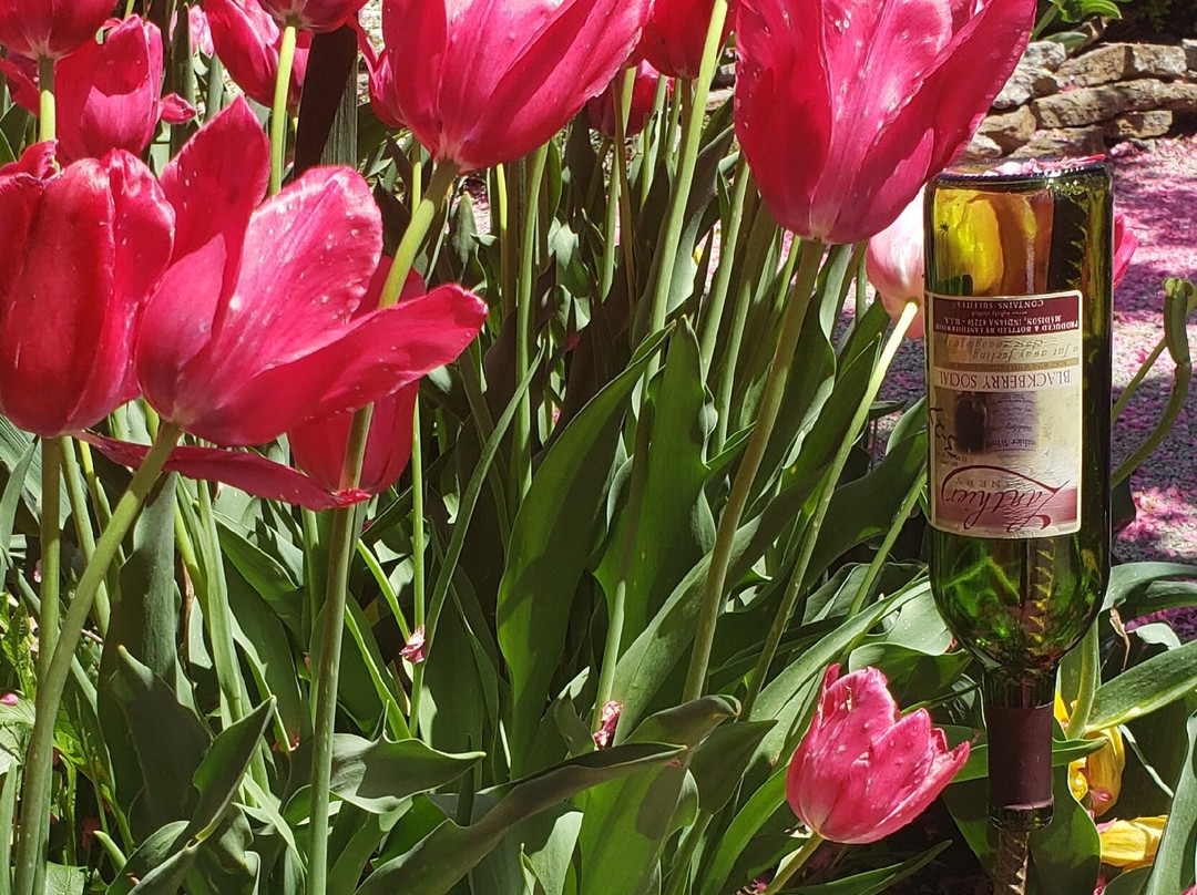 Lanthier Winery & Distillery-麦迪逊必去景点