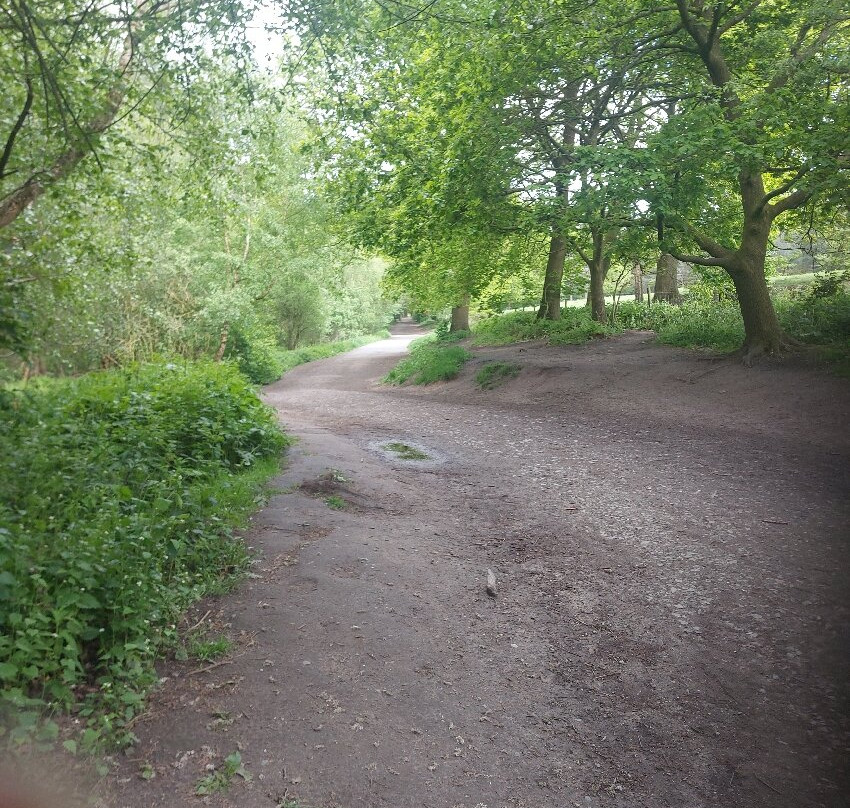 Delamere Forest-Delamere必去景点