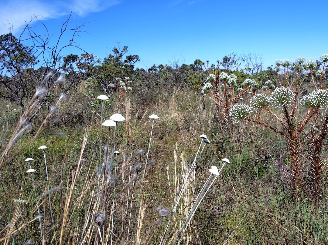 Parque Estadual da Serra dos Pireneus-Pirenopolis必去景点