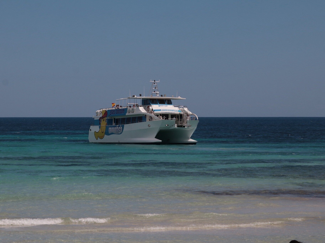 Moonfish Glass Bottom Boats - Sa Coma-萨可马必去景点