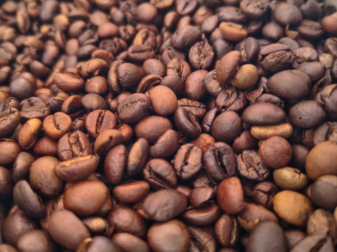 Greendale Coffee Experience-Suntikoppa必去景点