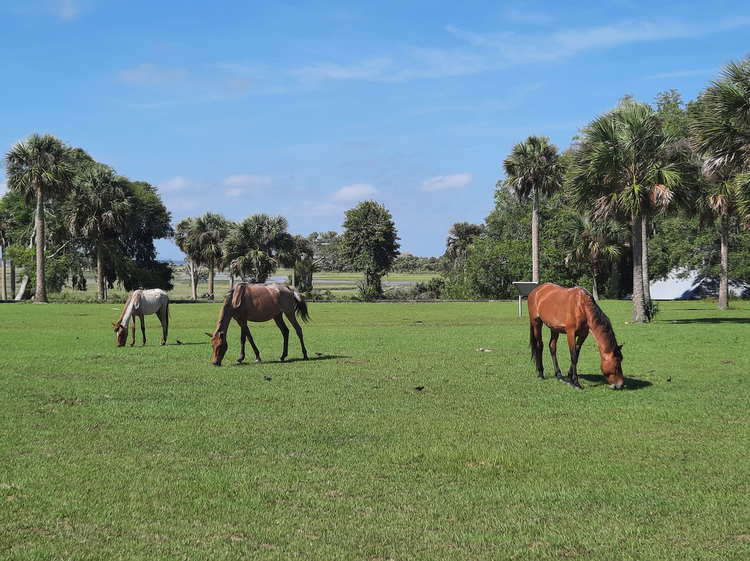 Cumberland Island Ferry