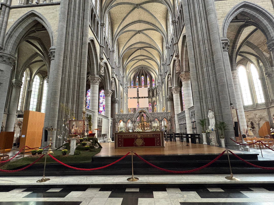 Saint Martin's Cathedral-伊普尔必去景点