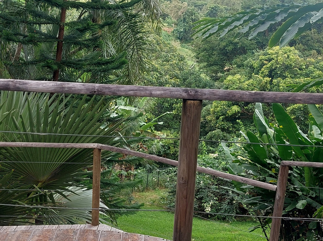 Lodge Terre De Soleil主图