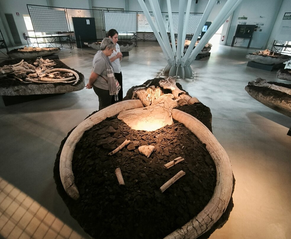 Museo Paleontologico "Luigi Boldrini"-Piegaro必去景点