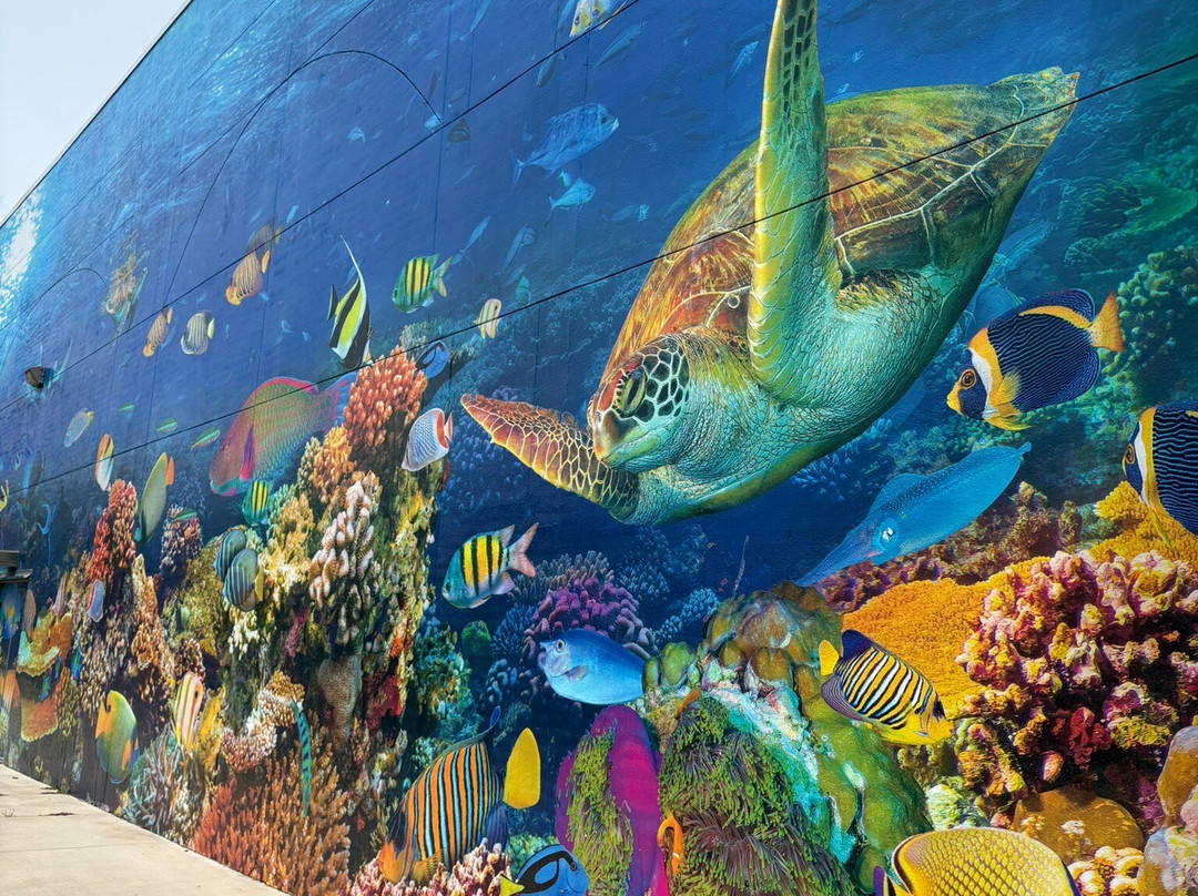 Daytona Aquarium & Rainforest Adventure-代托纳比奇必去景点