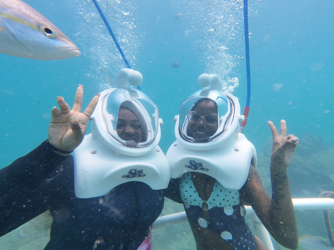 Sea Trek St. Maarten-菲利普斯堡必去景点