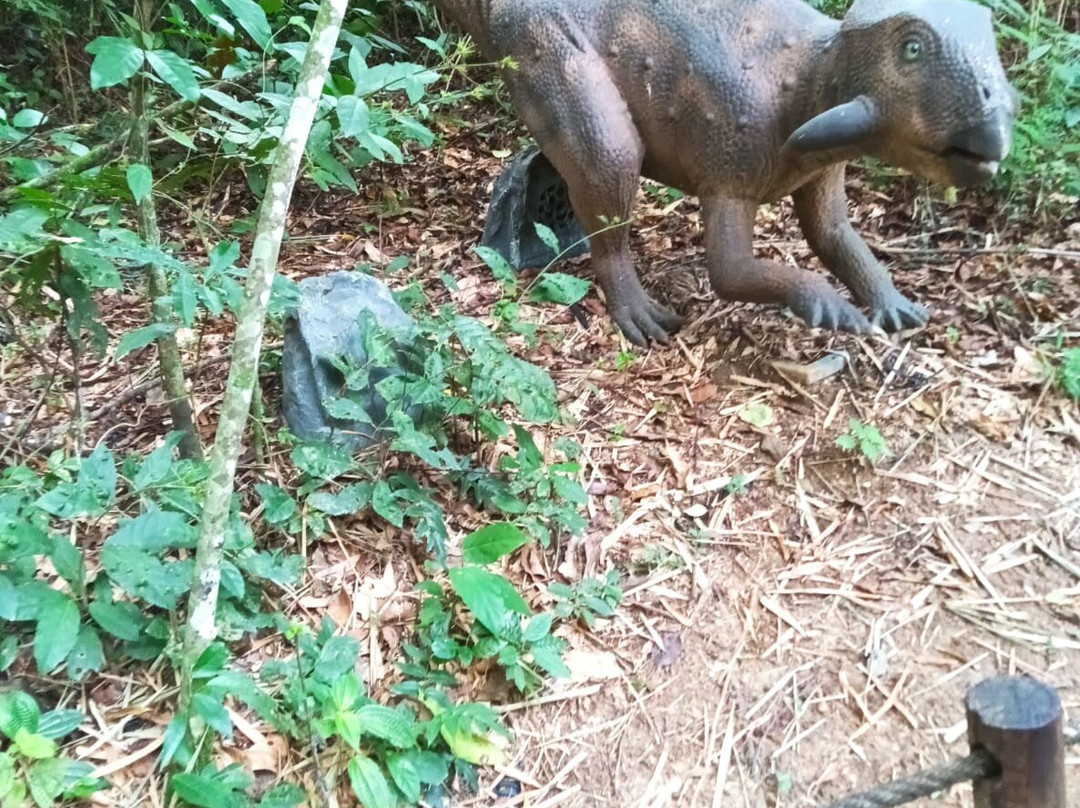Terra Dos Dinos-Miguel Pereira必去景点