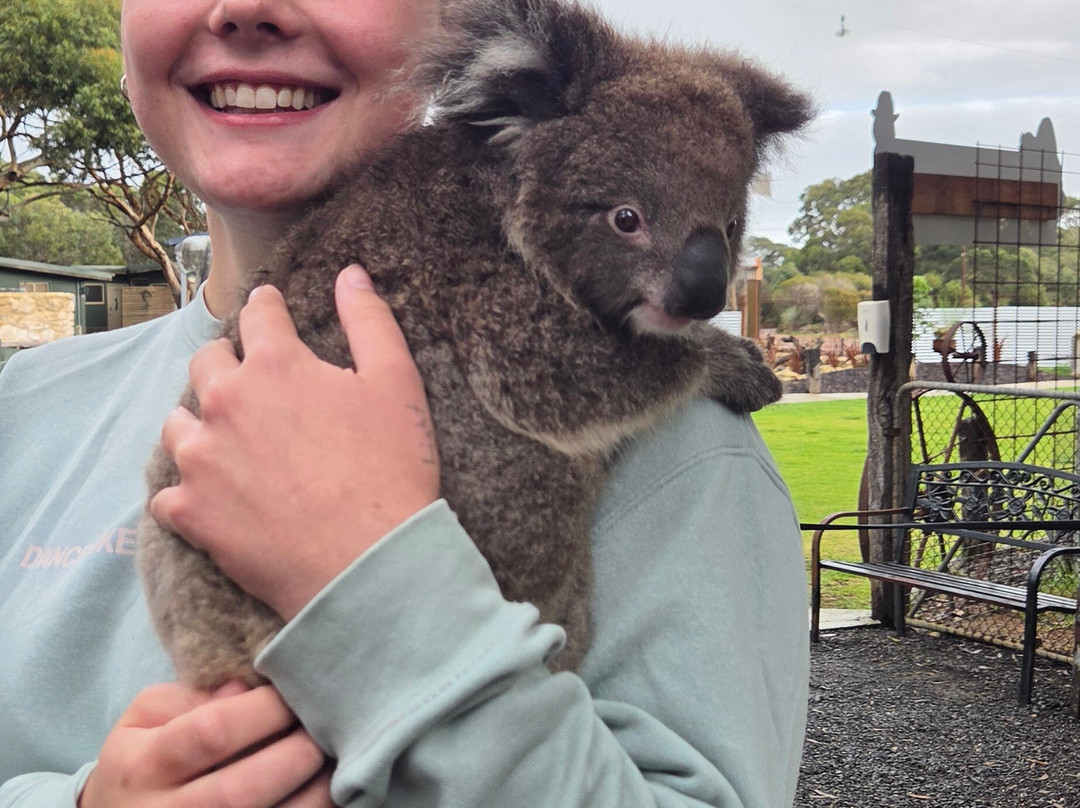 Kangaroo Island Wildlife Park-塞登必去景点