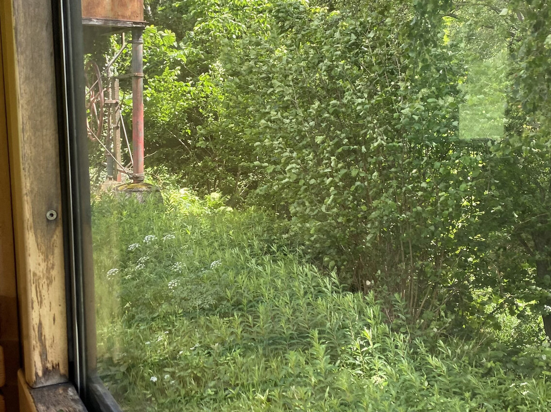 Welshpool and Llanfair Light Railway-Welshpool必去景点