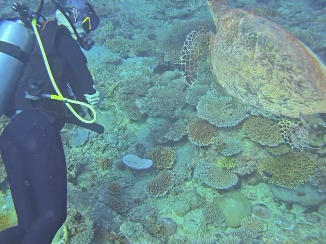 Addu Scuba Club-Hithadhoo Island必去景点