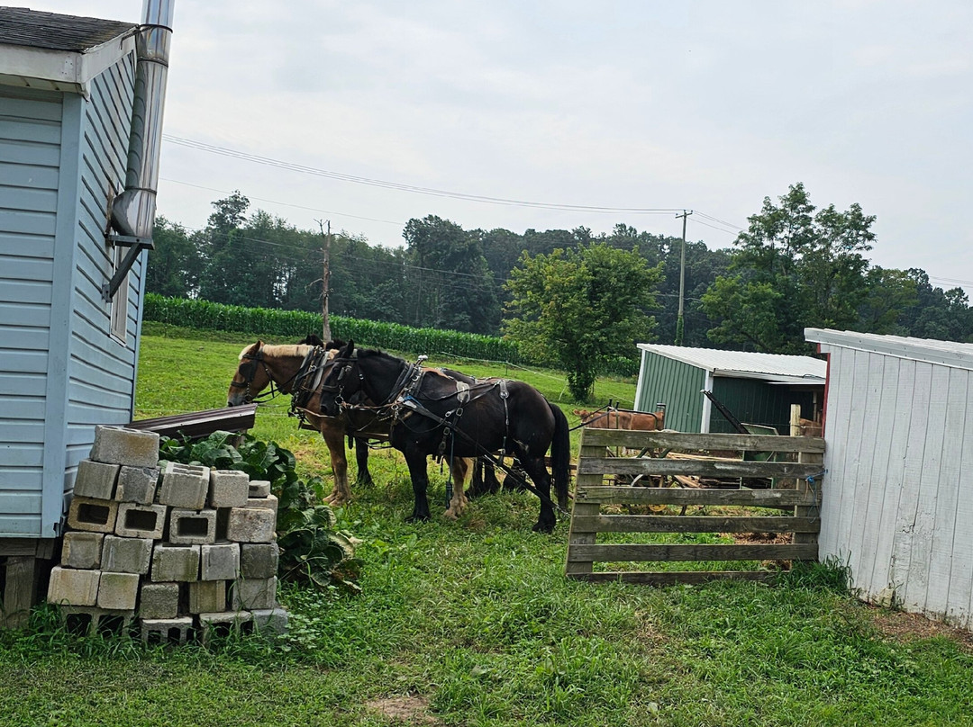 Watson Farm Produce & Dairy
