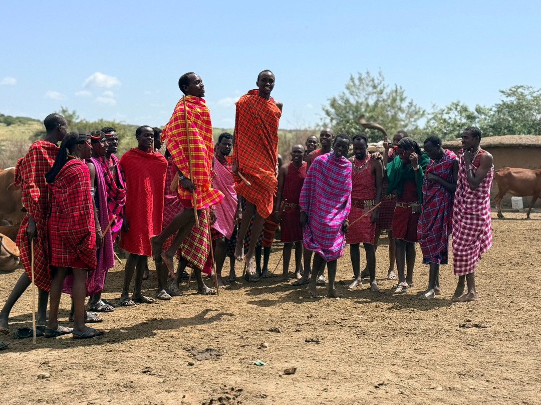 Zebra Valley Camp