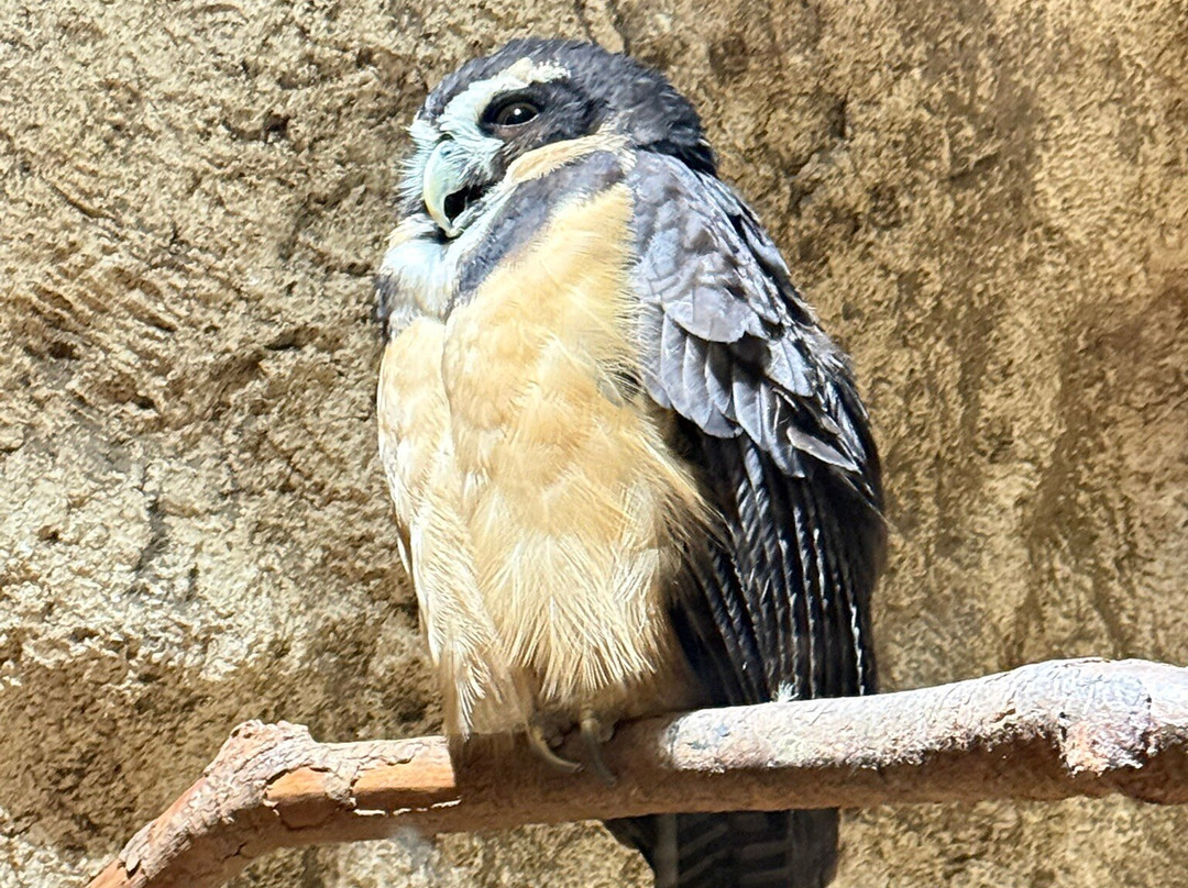 达拉斯世界水族馆-达拉斯必去景点