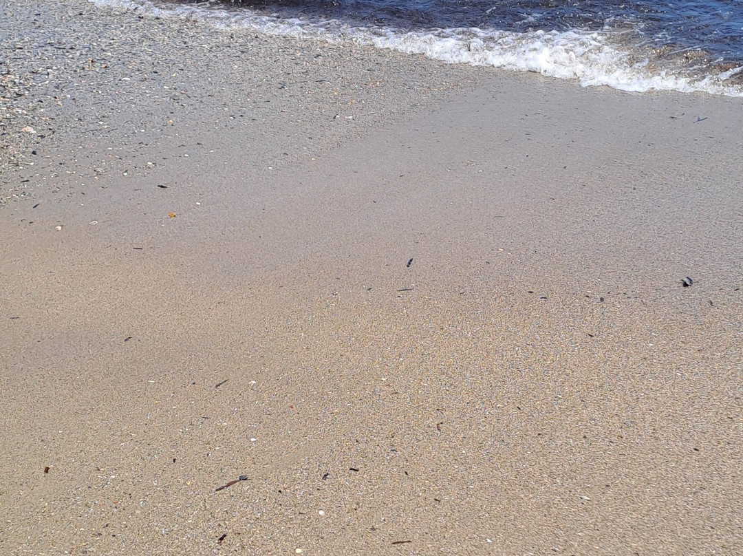Schinias Beach-Marathon必去景点