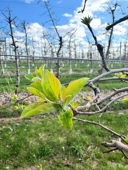 Oakwood Fruit Farm-Richland Center必去景点