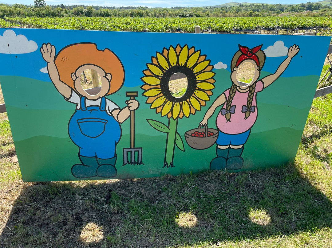 Fferm Ty Cynan Farm-Rhyd-y-clafdy必去景点