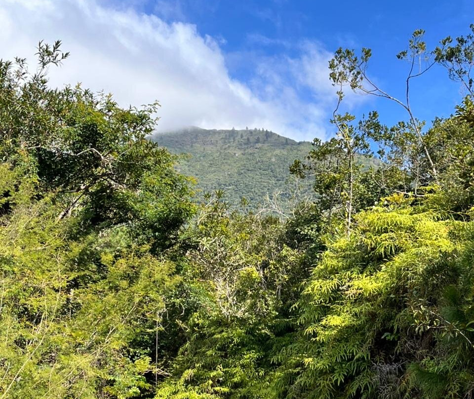 Aventura no Caminho-Santo Amaro da Imperatriz必去景点