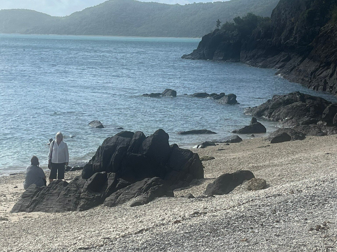 Daydream Island Living Reef-梦幻岛必去景点