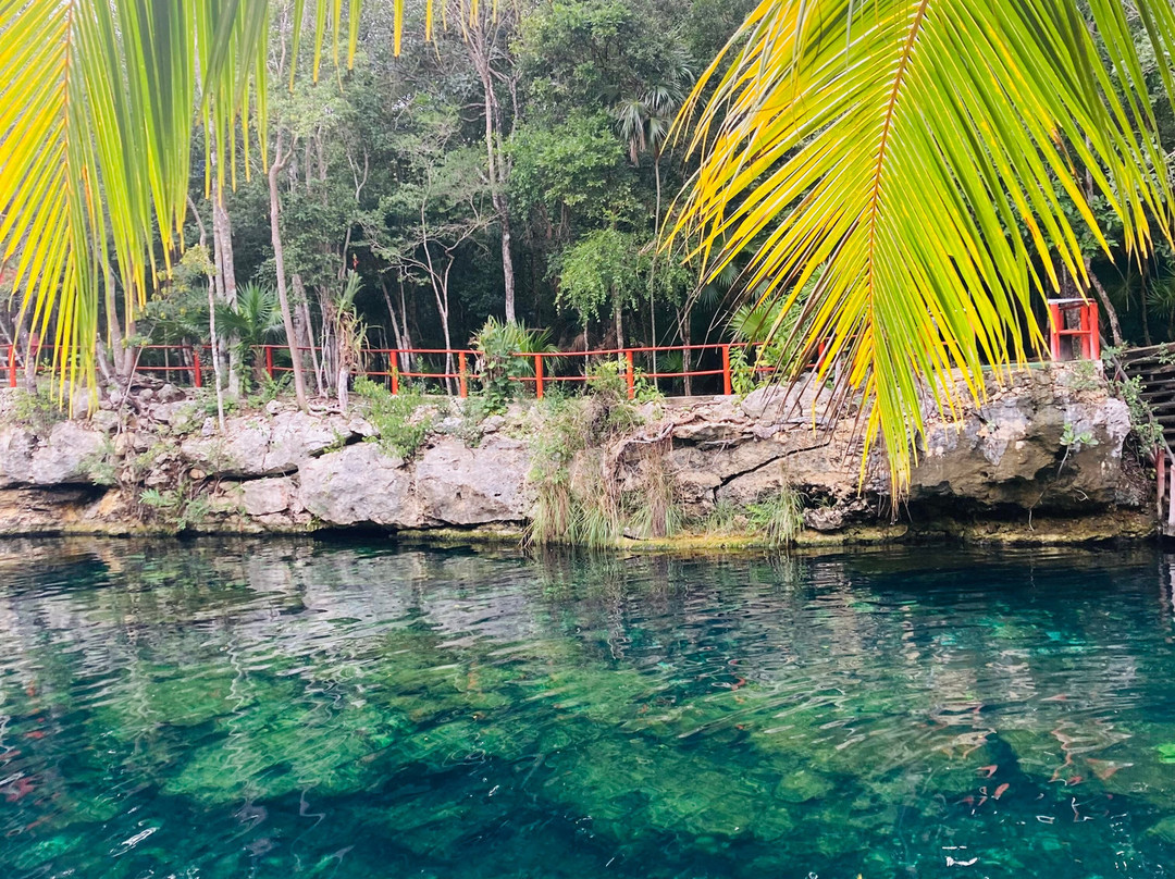Cenotes Casa Tortuga-图伦必去景点