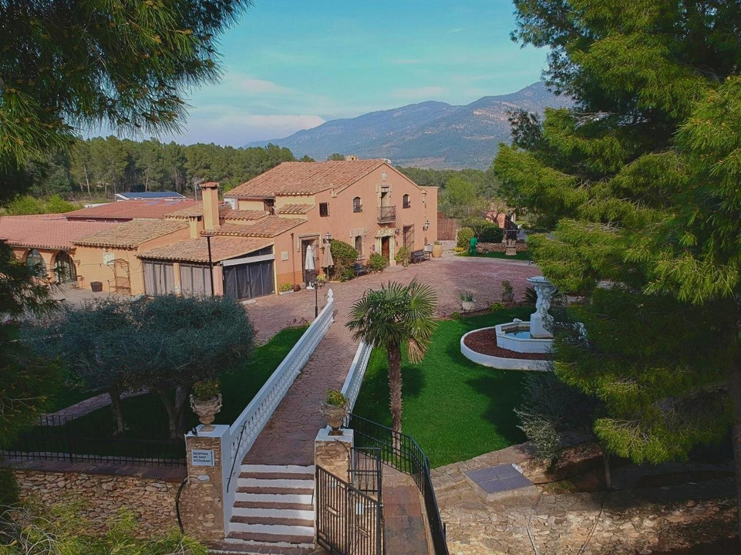 The Pines Hotel