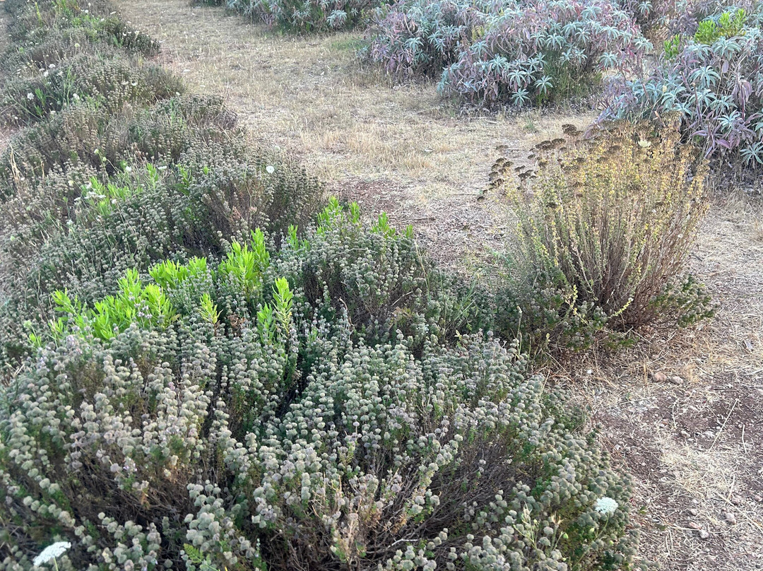 Gli Aromi Sicily-希克利必去景点