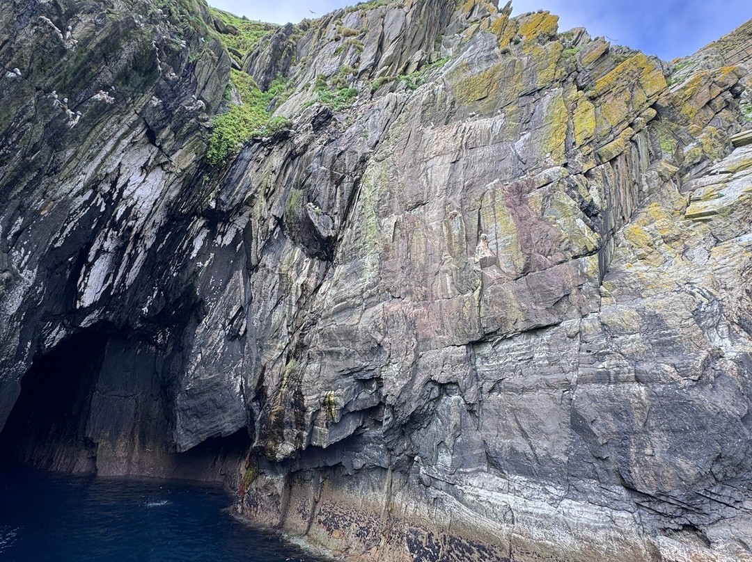 Skellig Falcon-Ballinskelligs必去景点