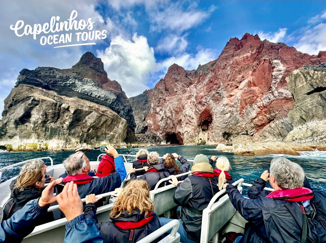 Capelinhos Ocean Tours-奥尔塔必去景点