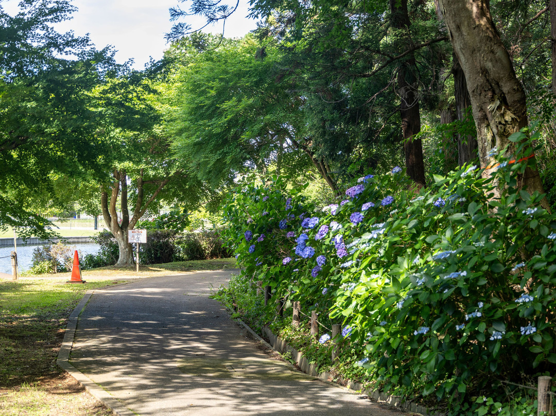 Akebonoyama Agricultural Park-柏市必去景点