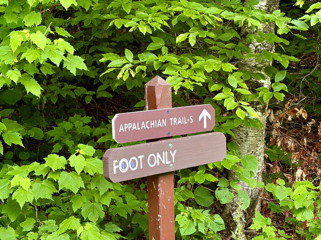 Mount Greylock-Adams必去景点