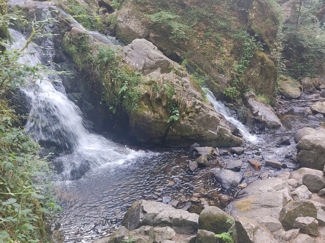 Circuit des Cascades de Tendon-Tendon必去景点