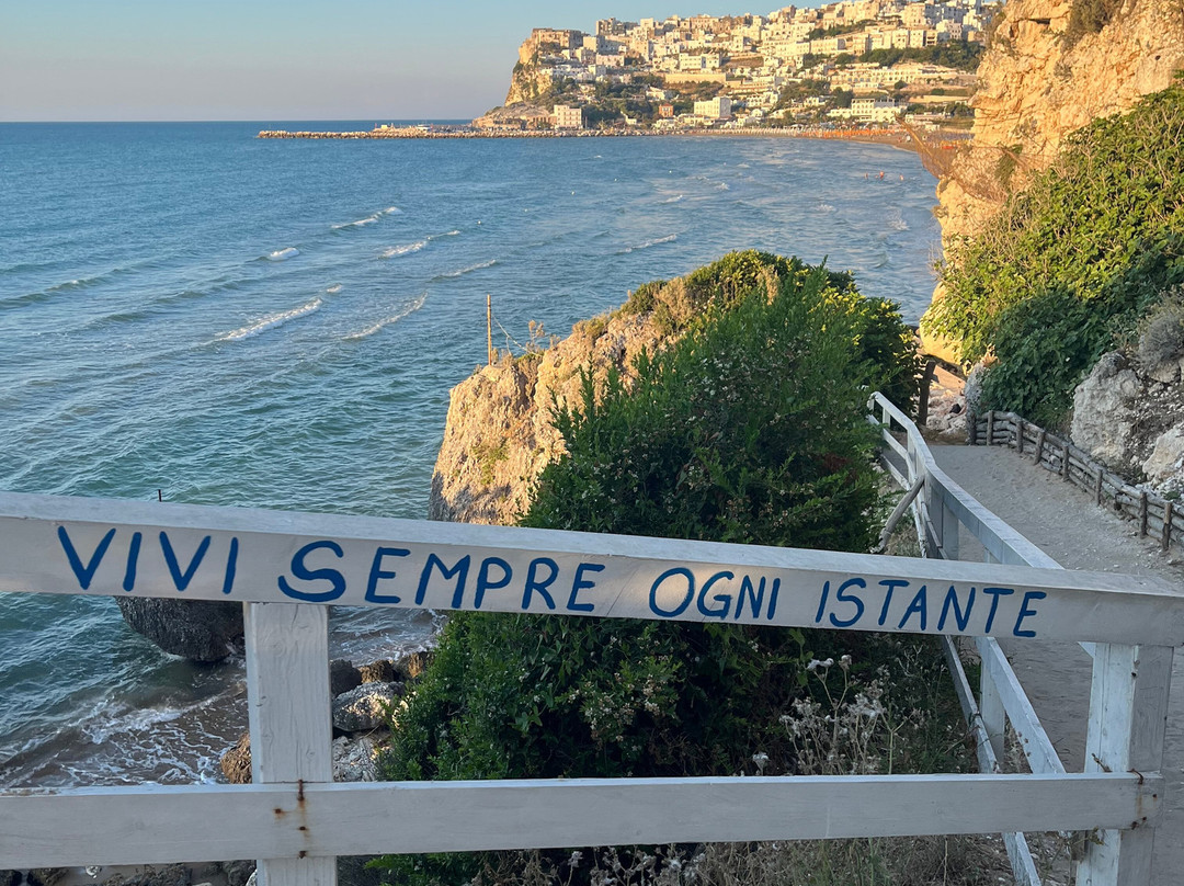 Costante Nicola Agenzia Tour Delle Grotte-佩斯基奇必去景点