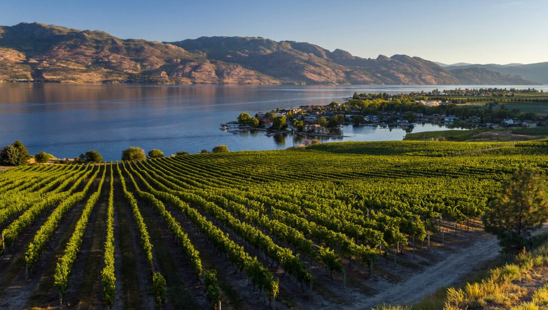 Quails' Gate Winery-西基隆拿必去景点