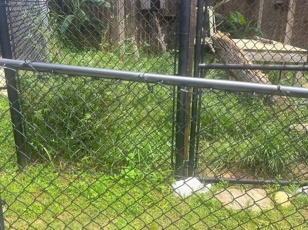 Alabama Gulf Coast Zoo-格尔夫海岸必去景点