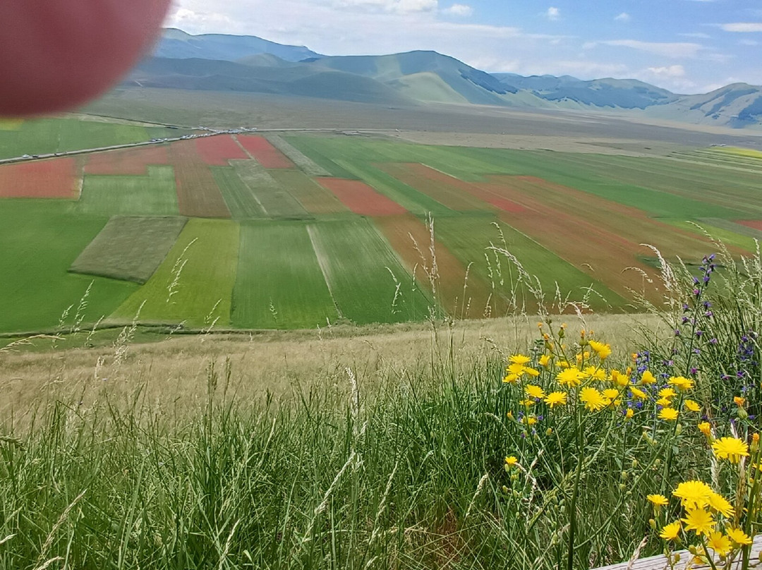卡斯特鲁奇奥公园-Castelluccio di Norcia必去景点