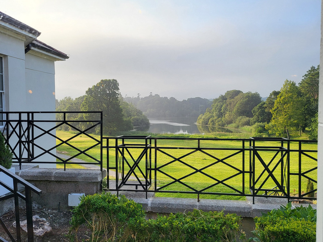 Nuremore Estate by McGettigan's主图