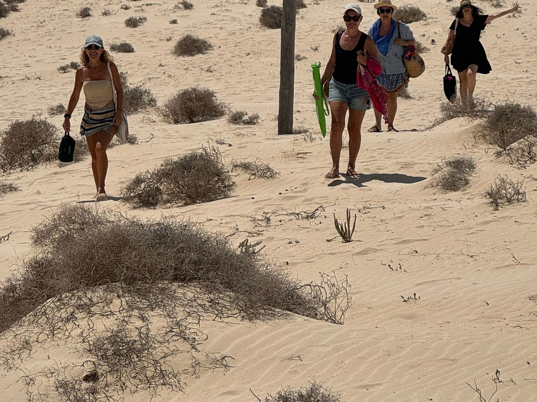 Dunas De Corrallejo-科拉雷侯必去景点