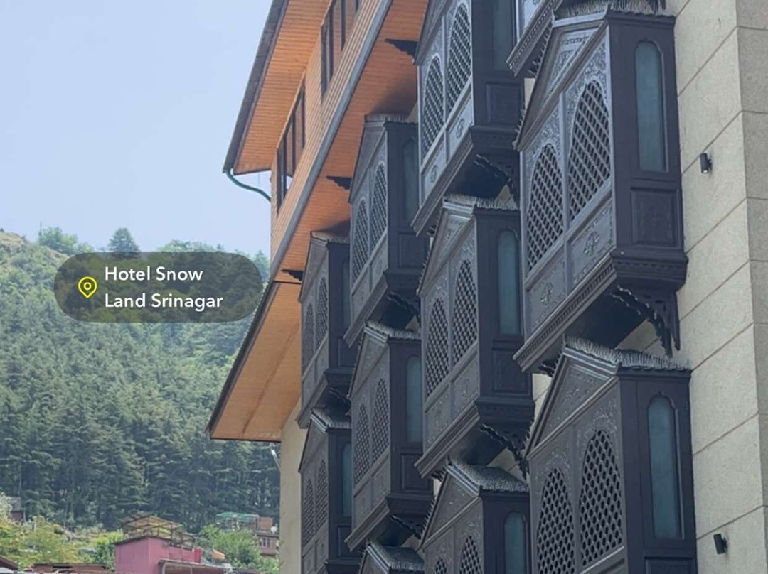 斯里纳格雪地酒店主图