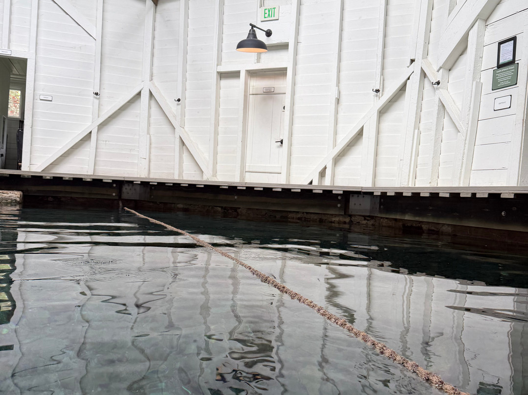 Warm Springs Pools-温泉村必去景点
