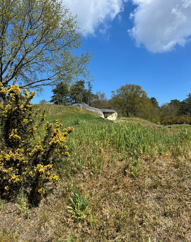 Bunkers Terschelling-West-Terschelling必去景点