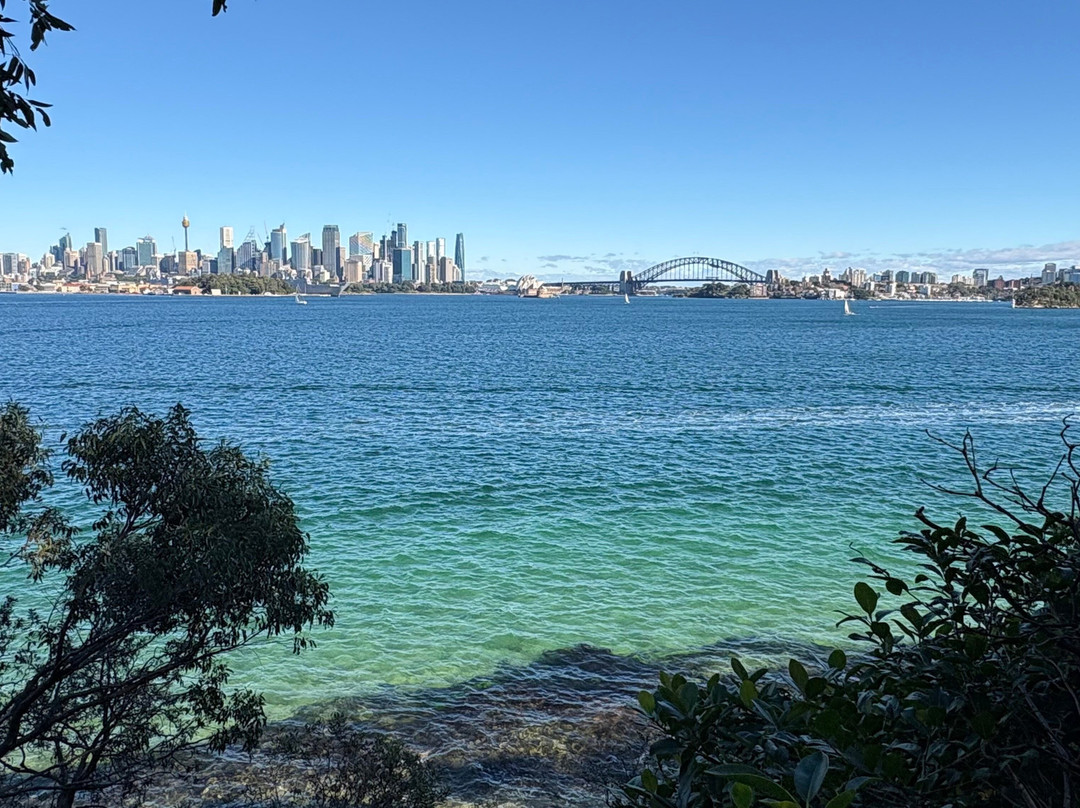 塔隆加动物园到曼利海滩漫步-悉尼必去景点