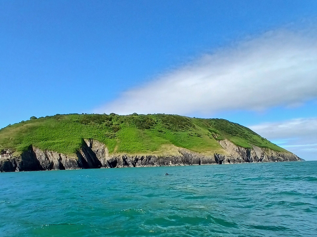 A Bay To Remember Wildlife Boat Trips-St. Dogmaels必去景点