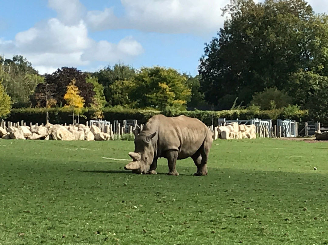 Marwell Zoo-温彻斯特必去景点
