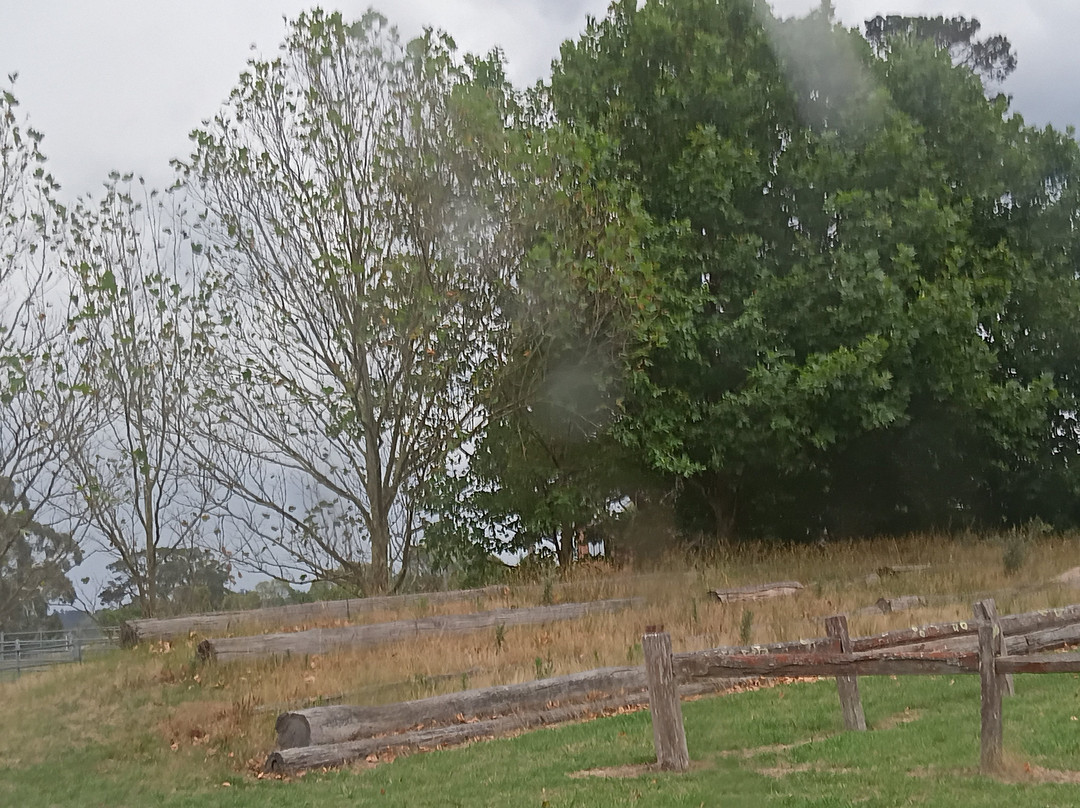 Moss Vale Showground