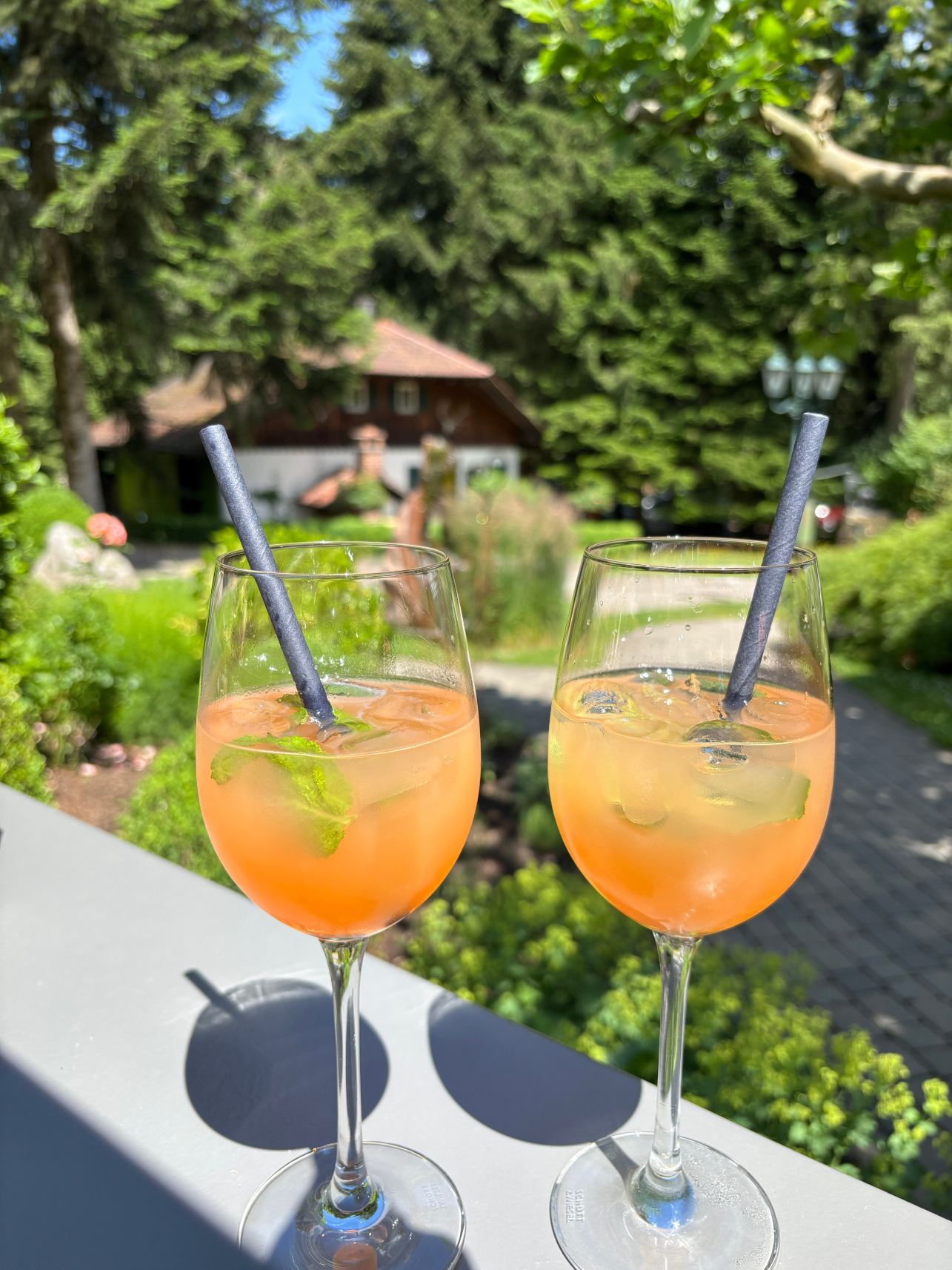 Waldhotel Grüner Baum-旅行者