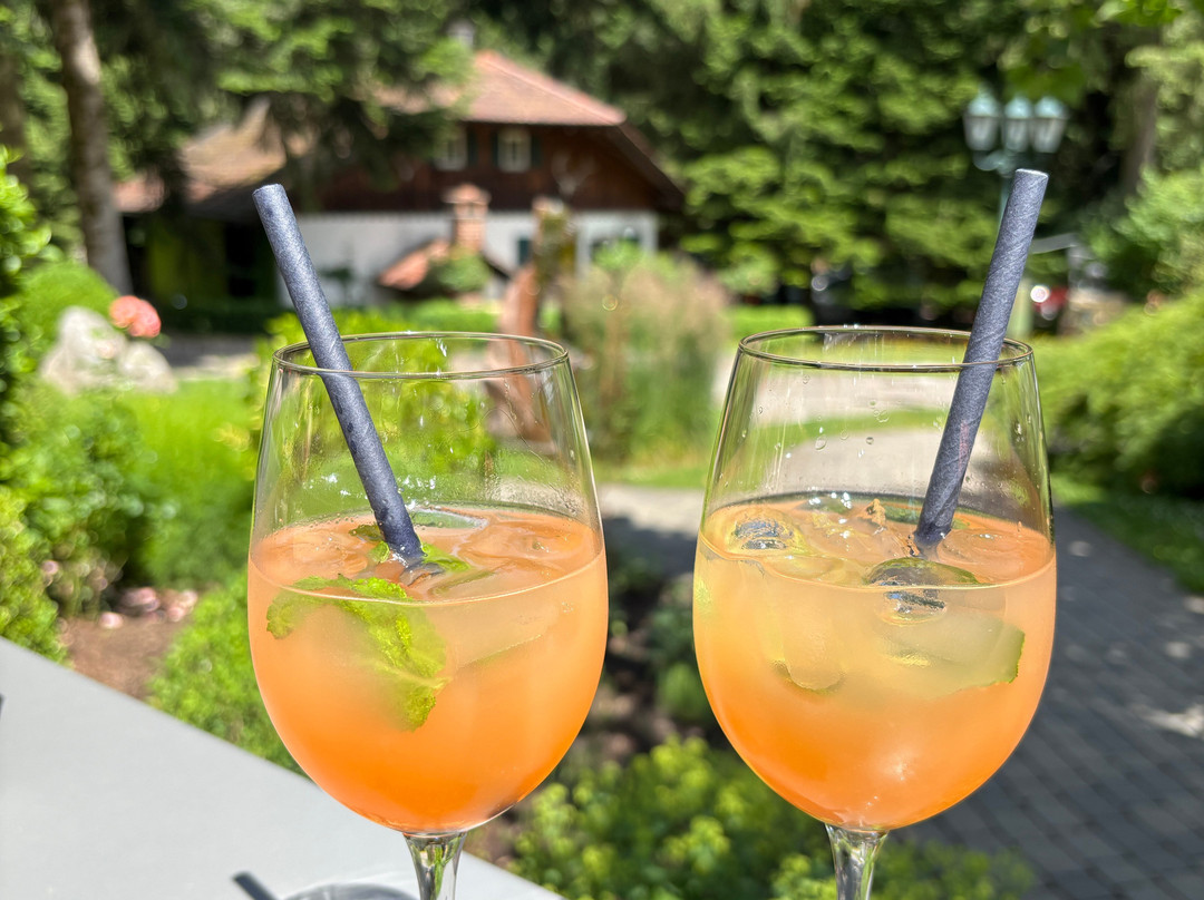Waldhotel Grüner Baum主图